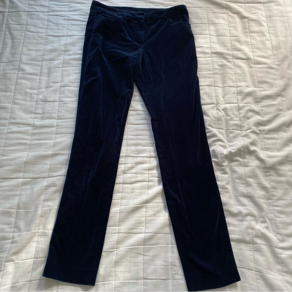 Women's Navy Velvet Skinny Pants